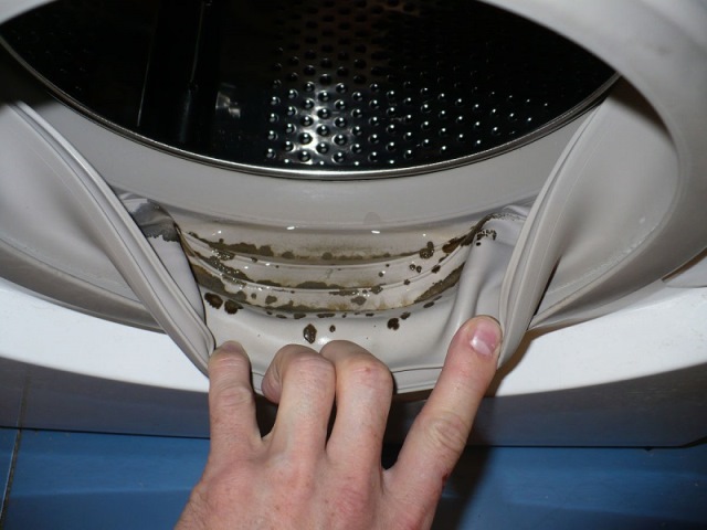 Чем опасна плесень в стиральной машине и как избежать ее появления