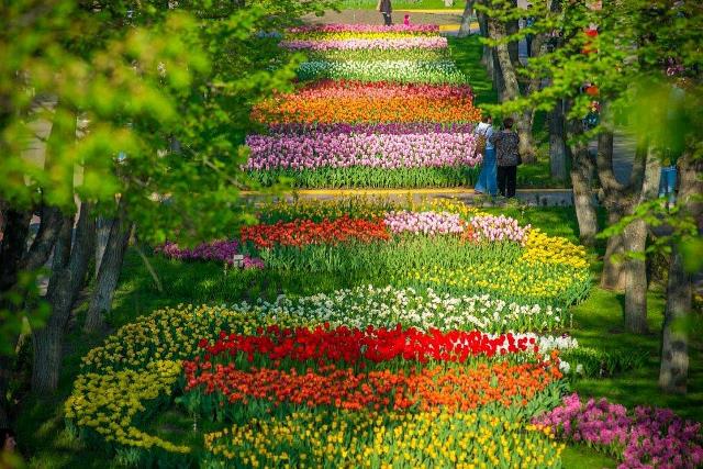 Где в Украине самая красивая весна